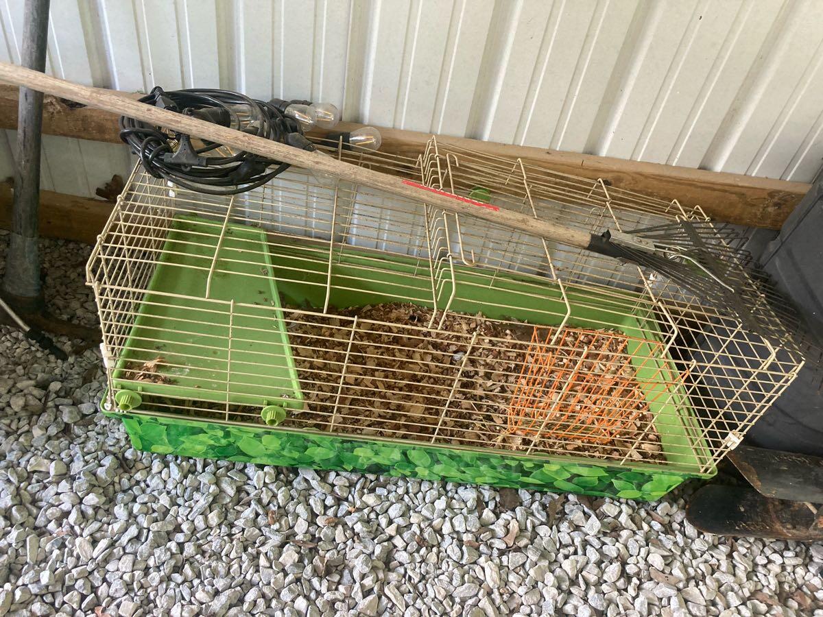 National geographic guinea pig cage hotsell