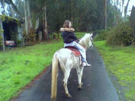 Inavale 2024 dog boarding