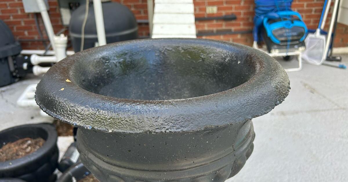 Concrete Flower Pots for Free in Louisville, KY Finds — Nextdoor