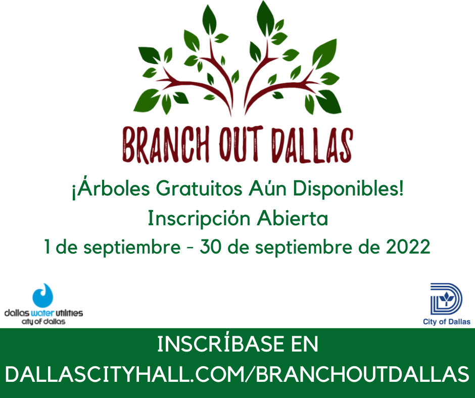 BRANCH OUT DALLAS HAS FREE TREES! (Dallas Sanitation Services