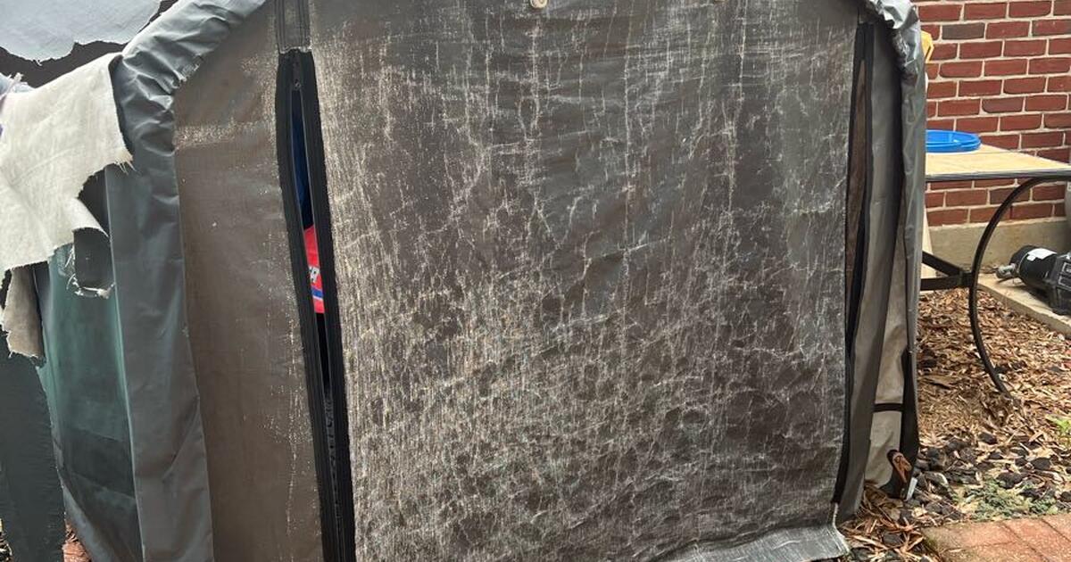 Shed frame for Free in Mandeville,