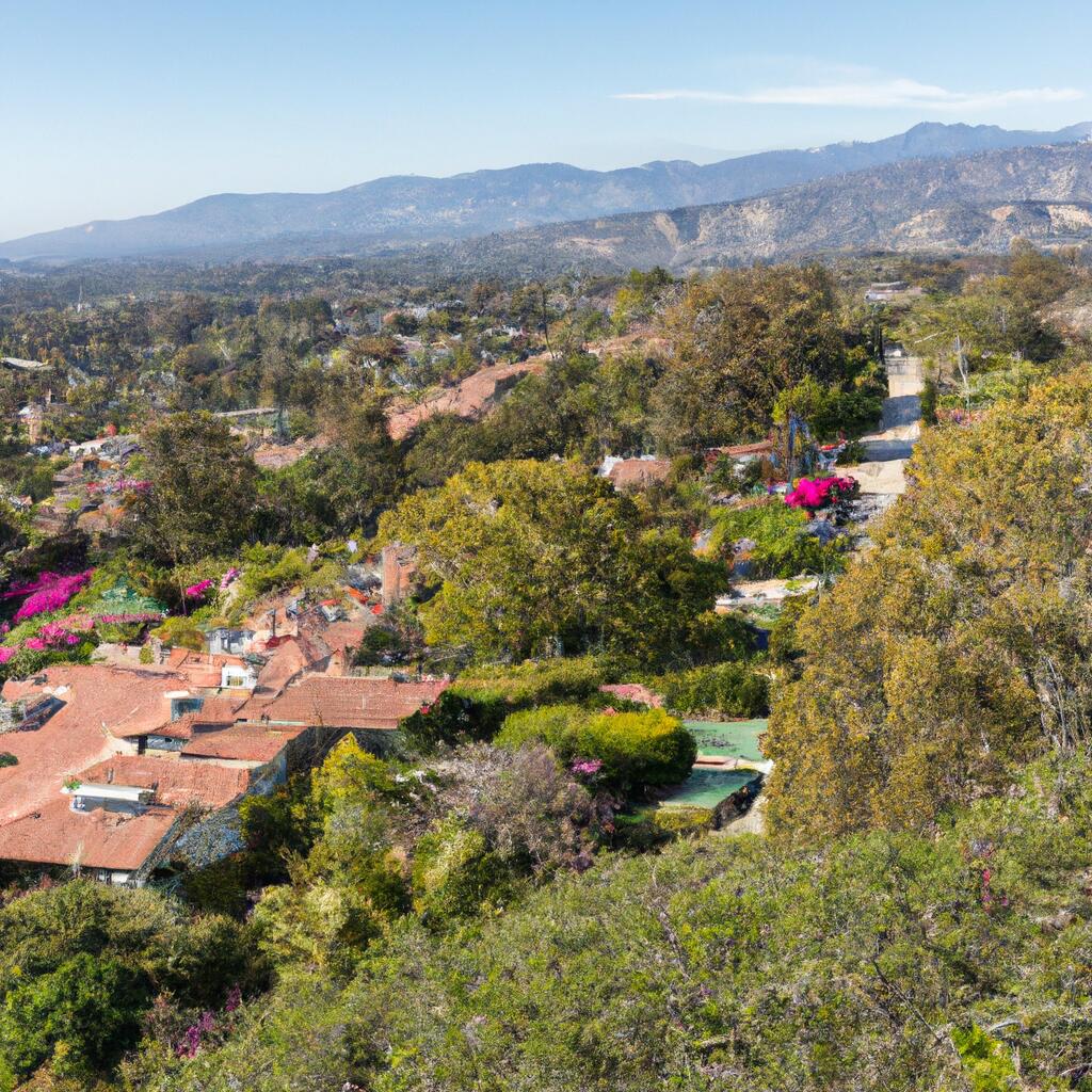 Blueberry Hill, Santa Barbara News, Crime, Lost Pets, Free Stuff