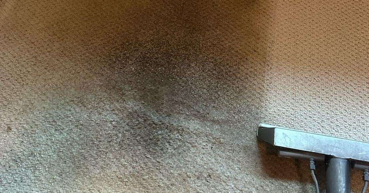 carpet steam cleaning in Fremont, CA For Sale & Free — Nextdoor