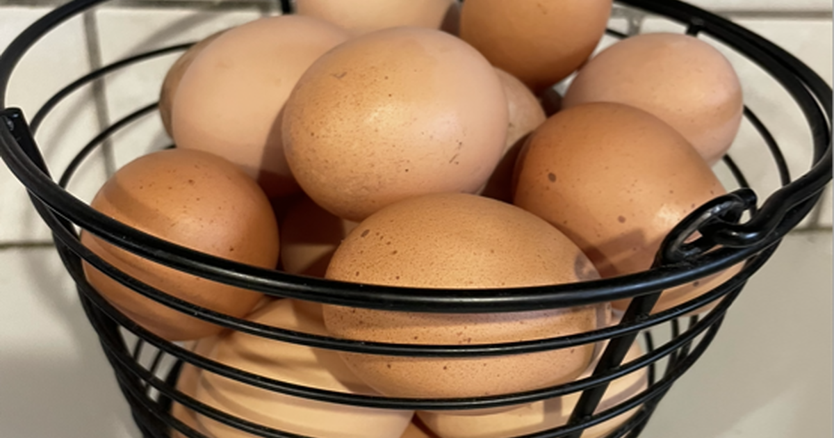 Unwashed Fresh Eggs for 3 in Magnolia, TX For Sale & Free — Nextdoor