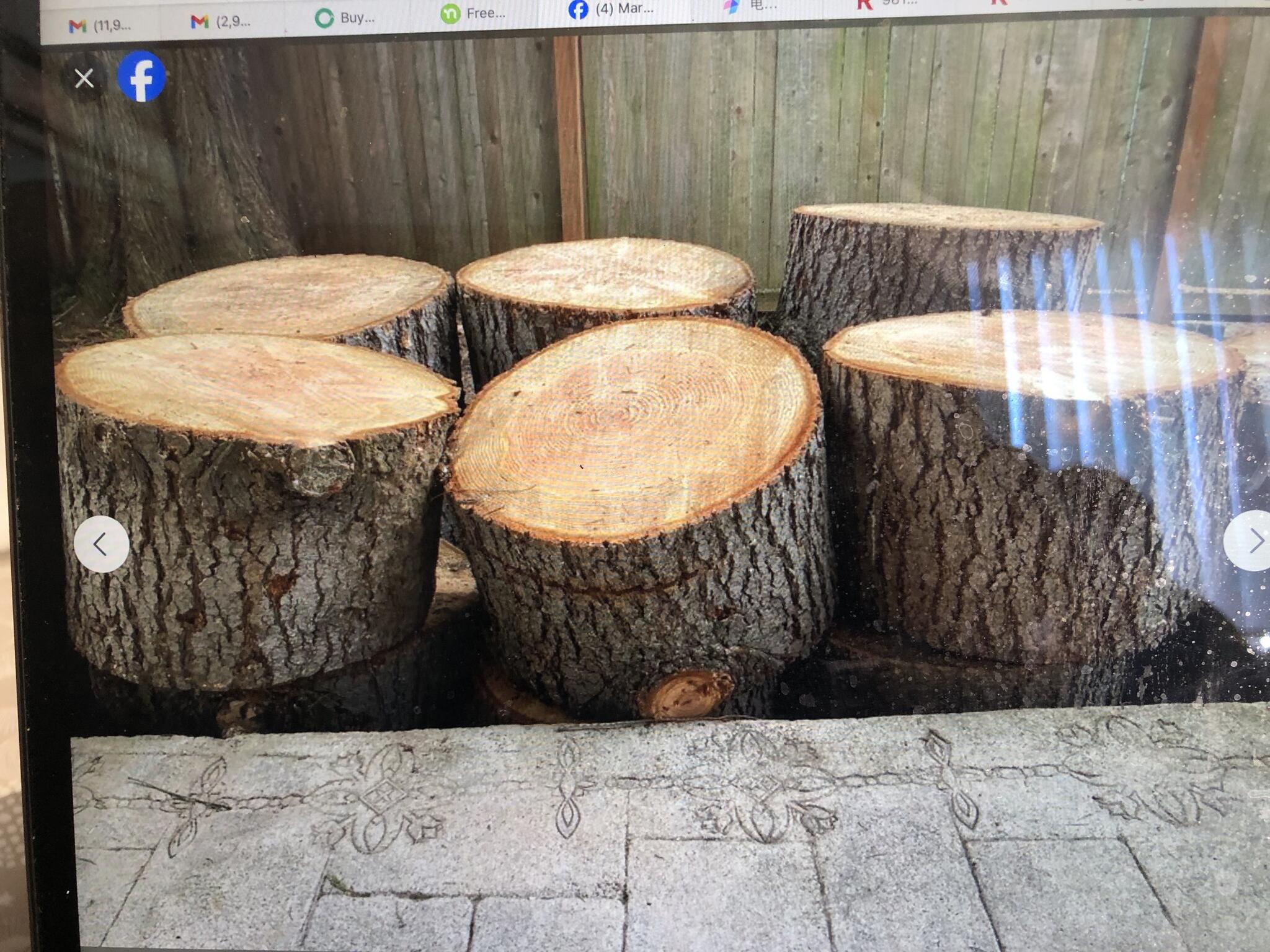 Free Firewood In Bellevue, Wa 