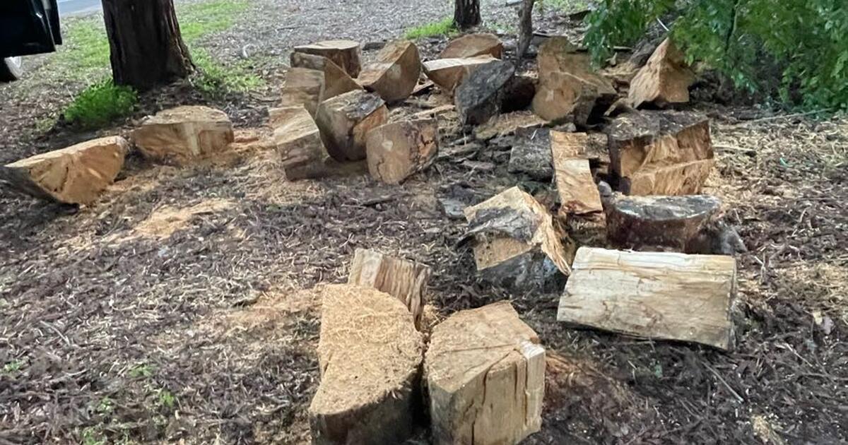 Free Firewood for Free in Sebastopol, CA Finds — Nextdoor