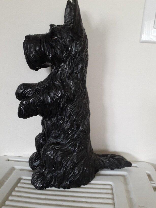 Terrier for 5 in Fishkill, NY For Sale & Free — Nextdoor