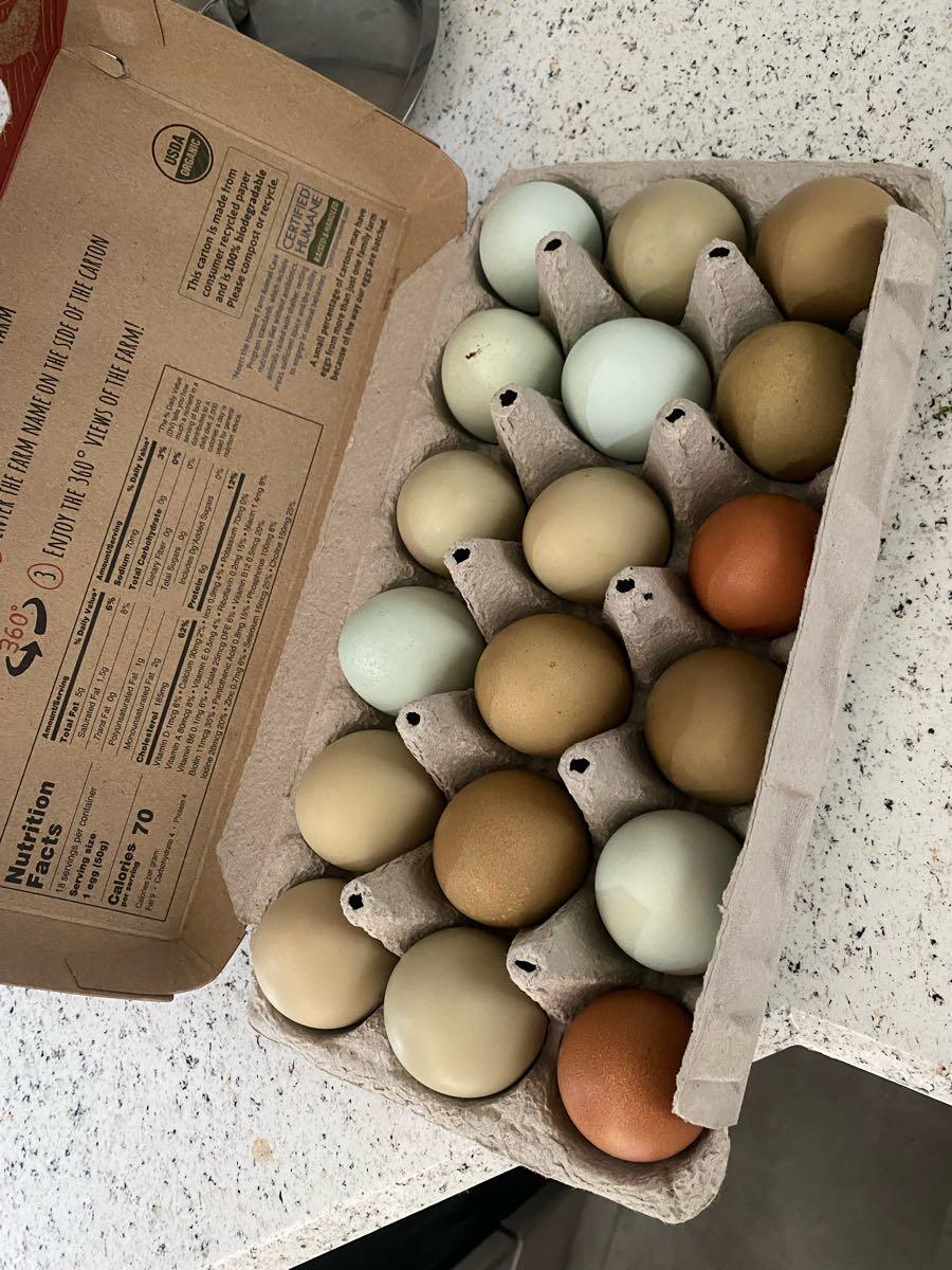 Farm fresh eggs (backyard chickens) in West Valley City, UT | For Sale ...