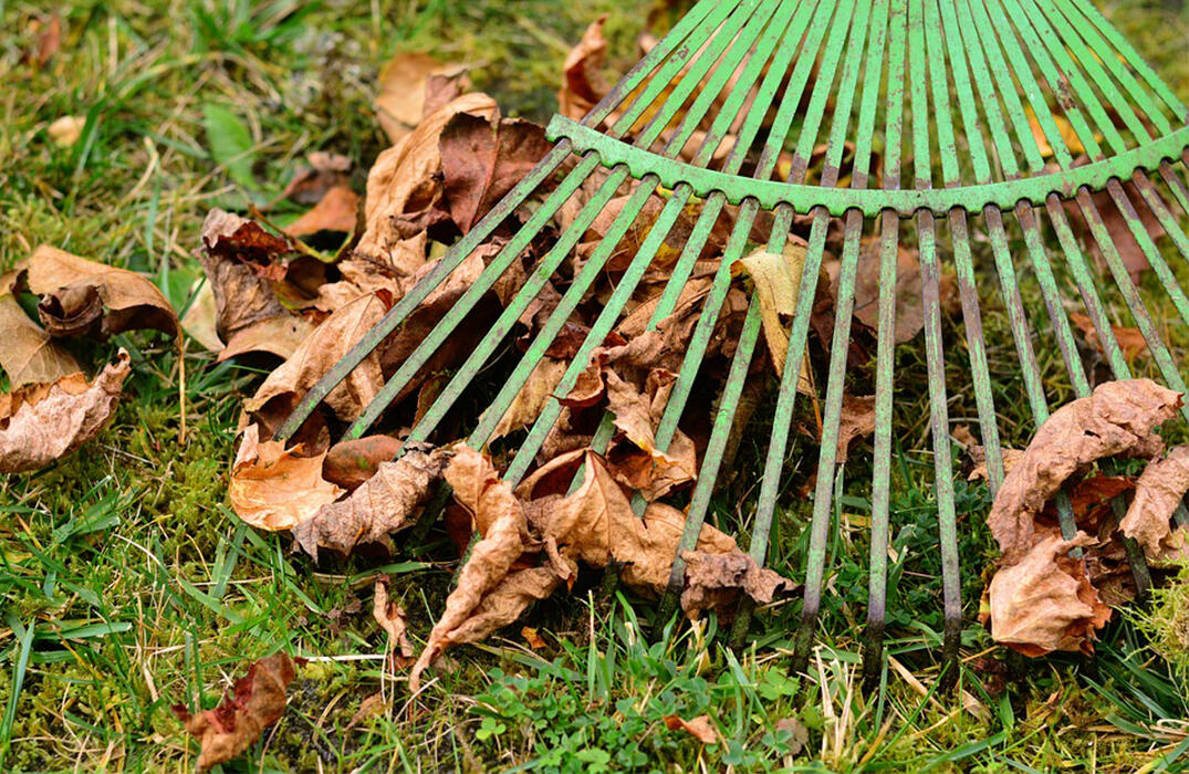 Leaf and Brush DropOff Sites Now Open (City of — Nextdoor