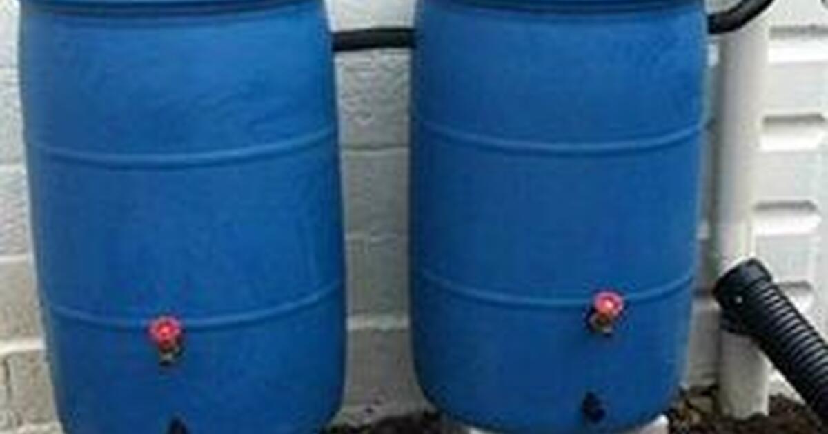 Rain Barrel curb 1111 W Daniel... only next 24 hrs for Free in