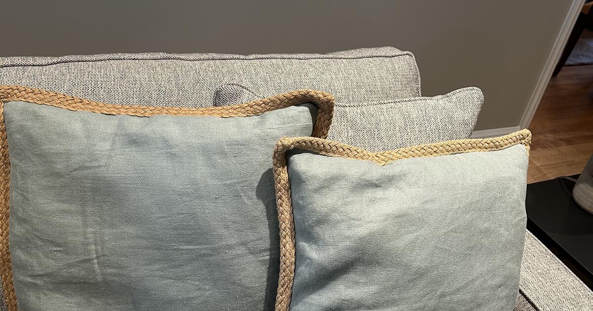 Two light blue Pottery Barn throw pillows for 20 in Arlington, VA