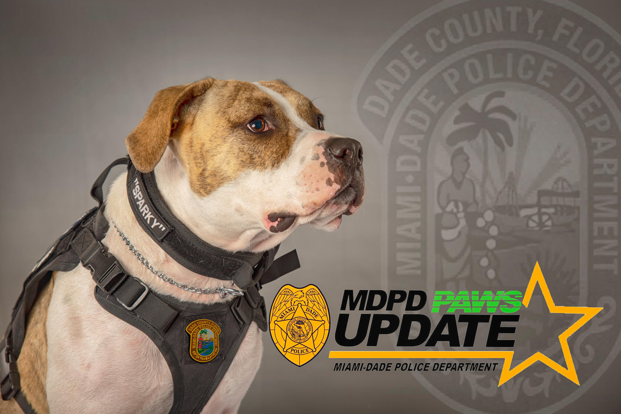 MDPD Kendall District's newest member (Miami-Dade Police Department)  — Nextdoor — Nextdoor
