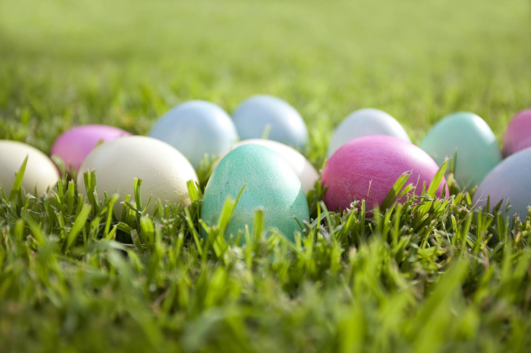 Mordecai Historic Park Egg Hunt