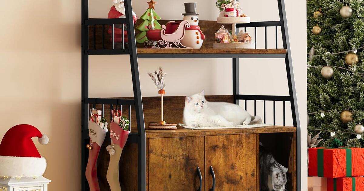 NIB Cat Litter Box / Pantry for 30 in Oceano, CA For Sale