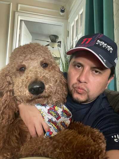 Woof cool hotsell stuff for dogs