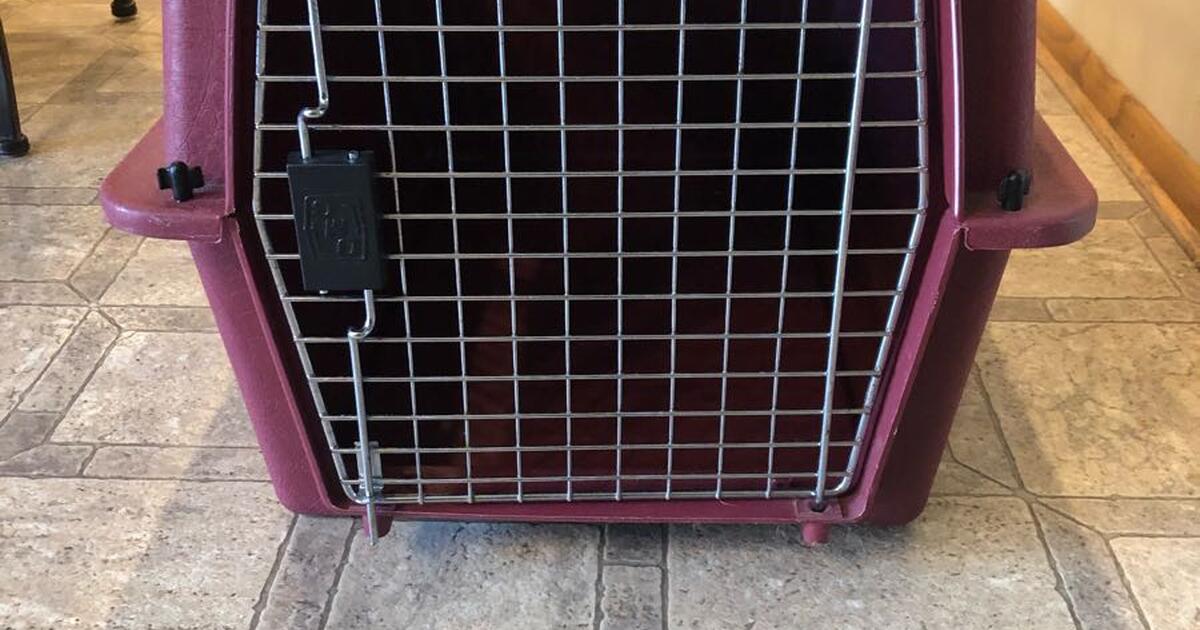 Petmate Dog Kennel for 25 in Franklin, WI For Sale & Free — Nextdoor