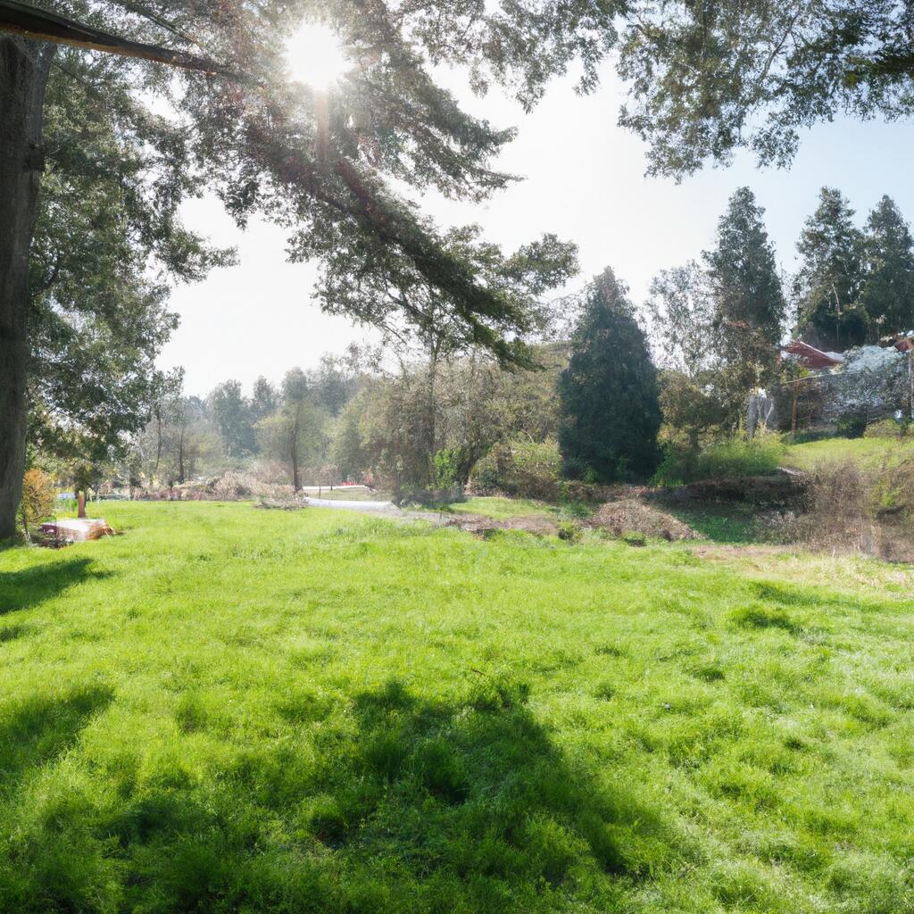 Kelly Creek, Gresham News, Crime, Lost Pets, Free Stuff