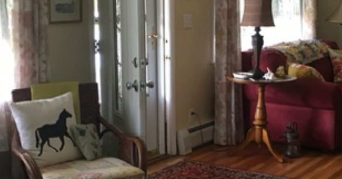 Two Oriental Rugs for sale for 30 in Saratoga Springs, NY For Sale