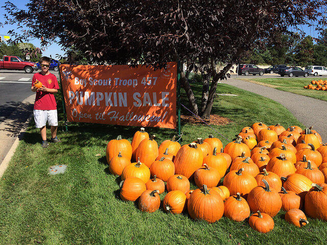 pumpkin patch miami lakes hours