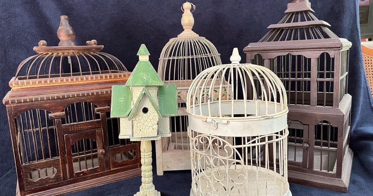 Decorative Birdcages for 25 in Greenwich, CT For Sale & Free — Nextdoor