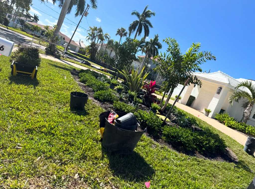 Beautiful Sarasota landscape transformation by Anthony the Landscaper