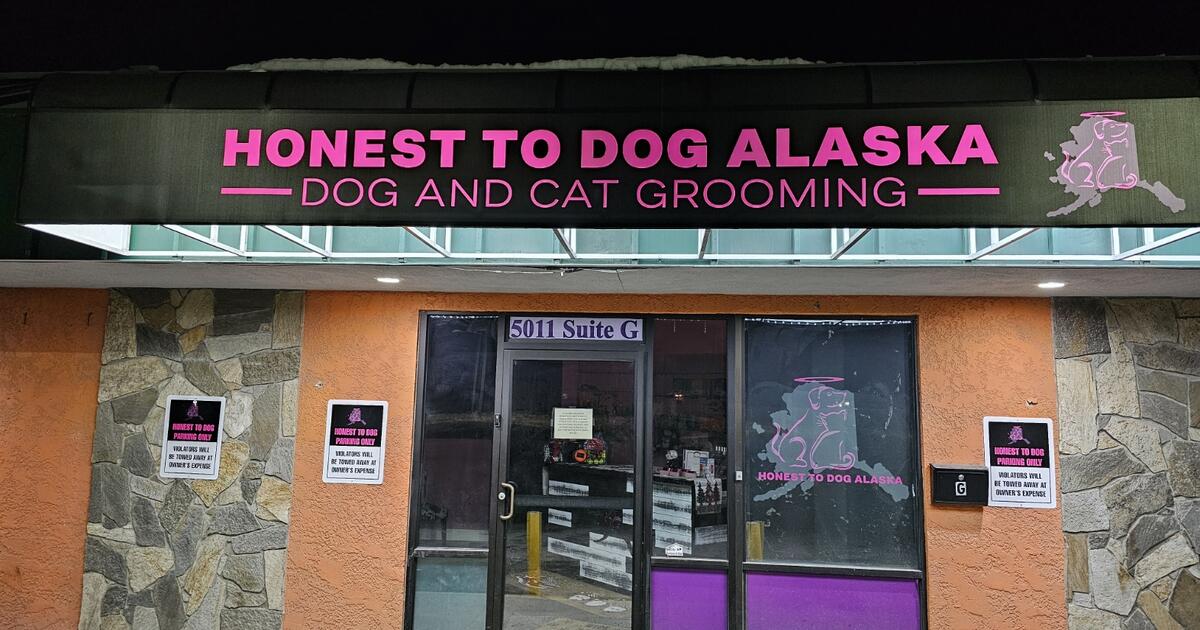 Dog and Cat Grooming Services for 75 in Anchorage, AK For Sale