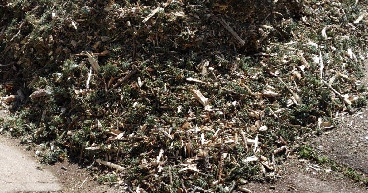 Pine Mulch for Free in Littleton, CO For Sale & Free — Nextdoor
