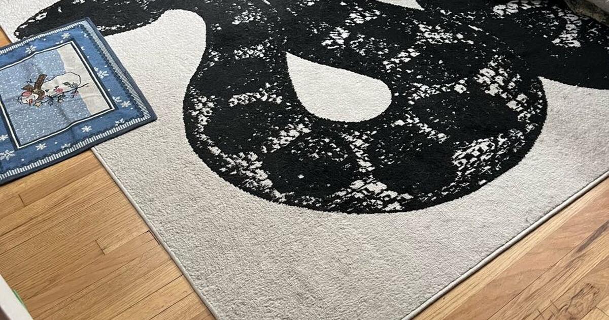 Area Rug FREE for Free in Littleton, CO For Sale & Free — Nextdoor