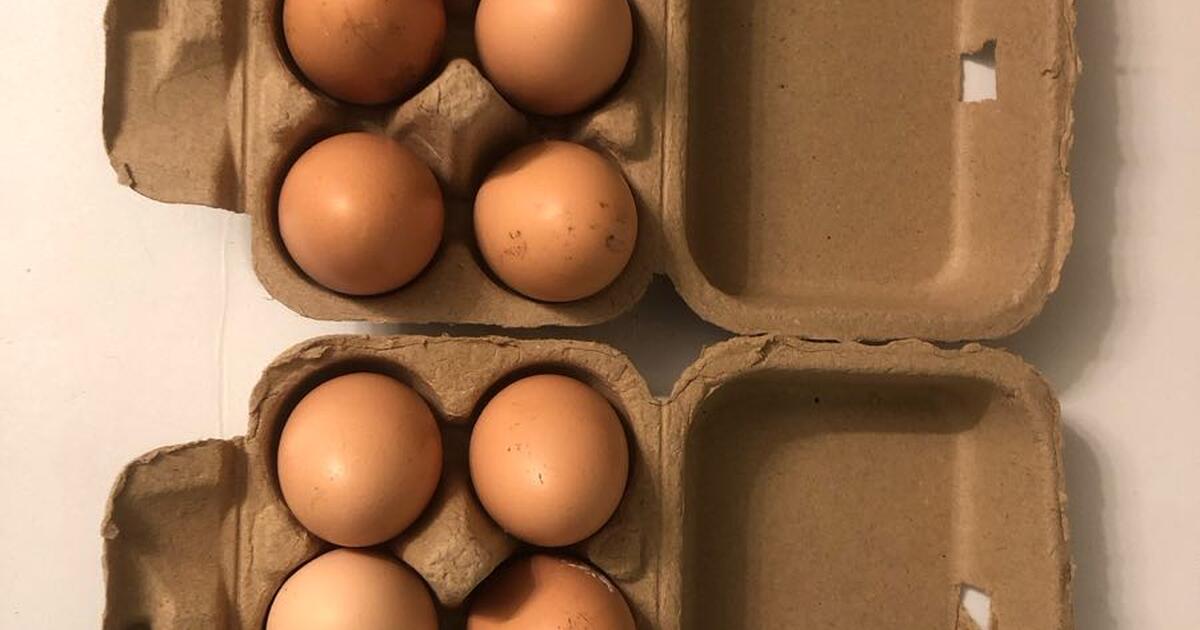 Fresh local eggs for 6 in Dallas, GA Finds — Nextdoor