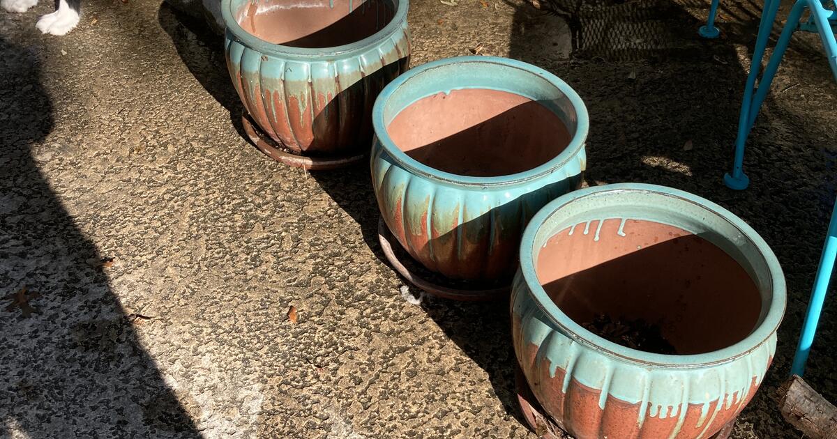 Planter pots each for 10 in Austin, TX For Sale & Free — Nextdoor