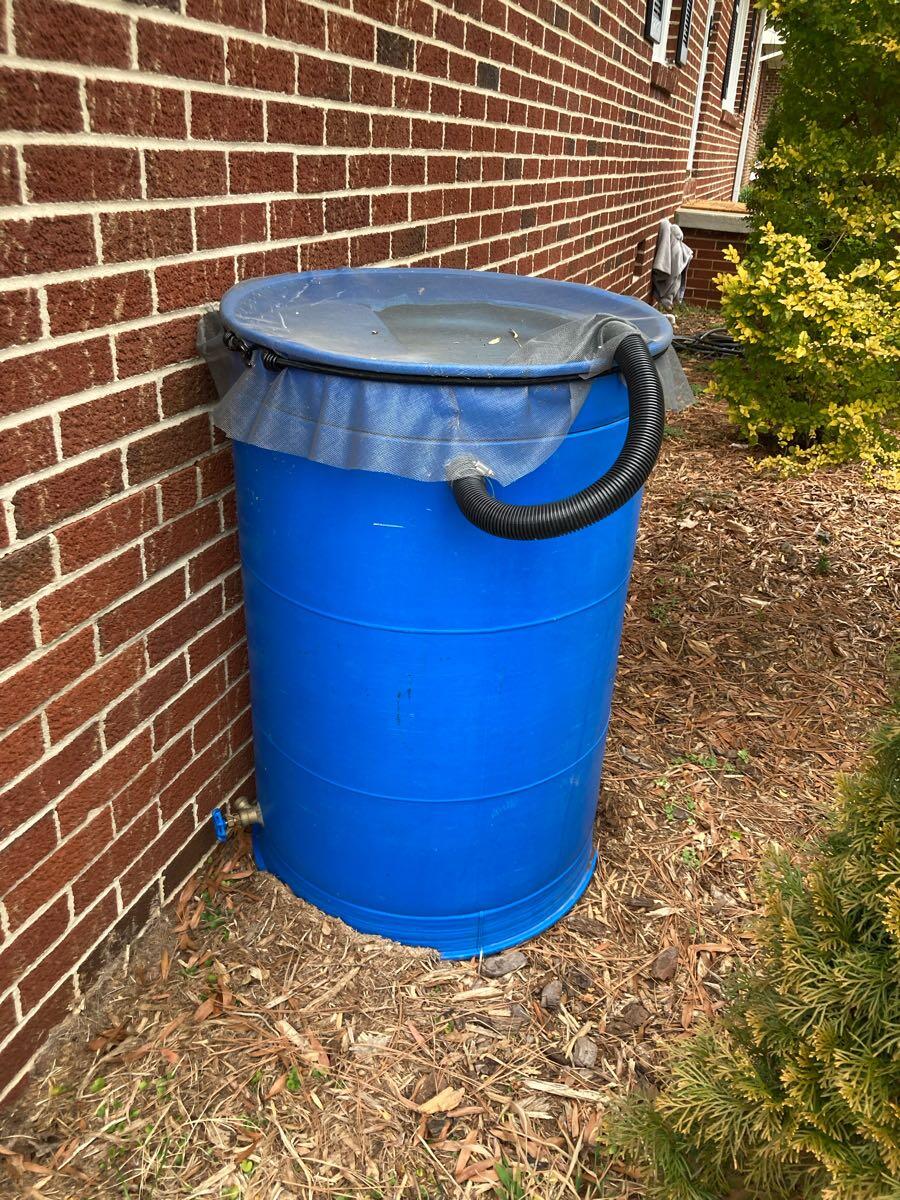 Blue Rain Barrel