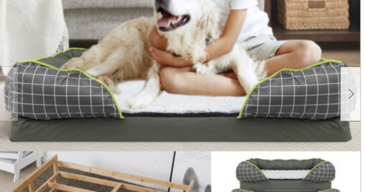 Large Raised Dog Bed with Orthopedic Bolster Lounge for 40 in