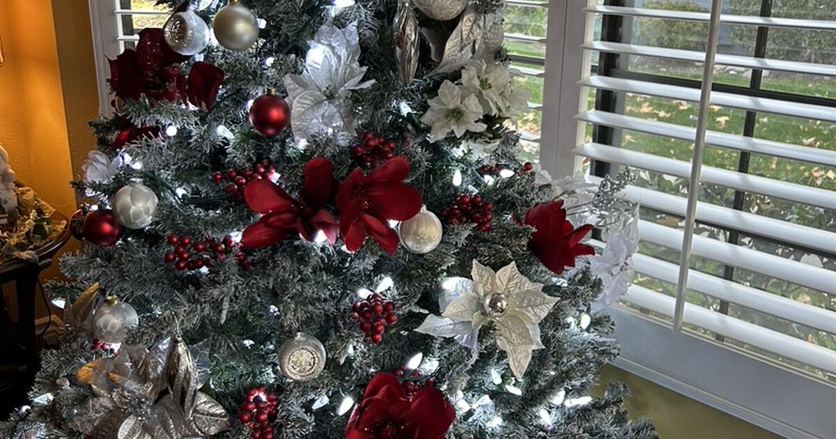 Christmas tree in Peoria, AZ For Sale & Free — Nextdoor