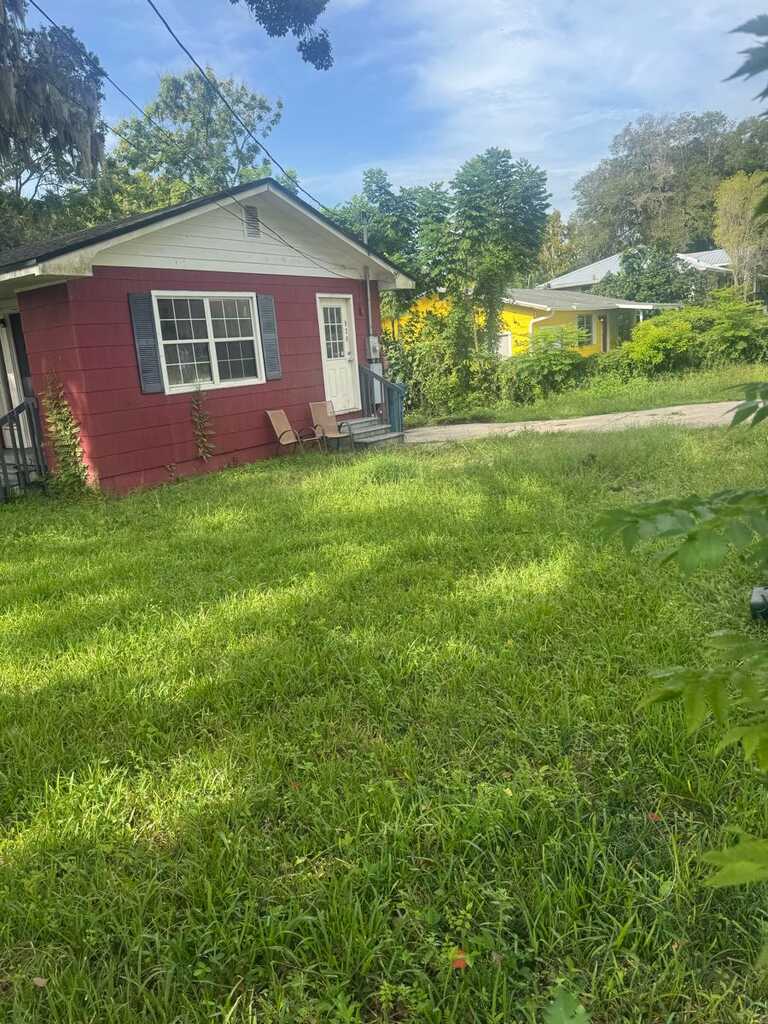 Overgrown lawn before mowing