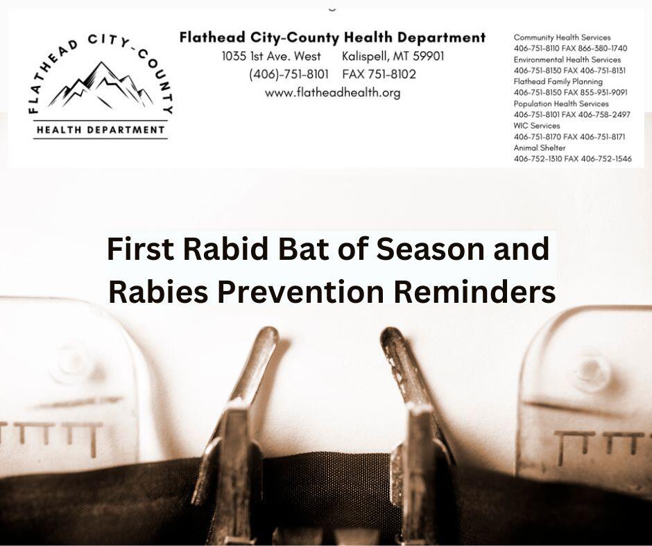 Press Release First Rabid Bat of Season and Rabies Prevention