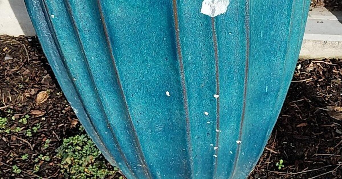 Free Pot for Free in Newberg, OR For Sale & Free — Nextdoor