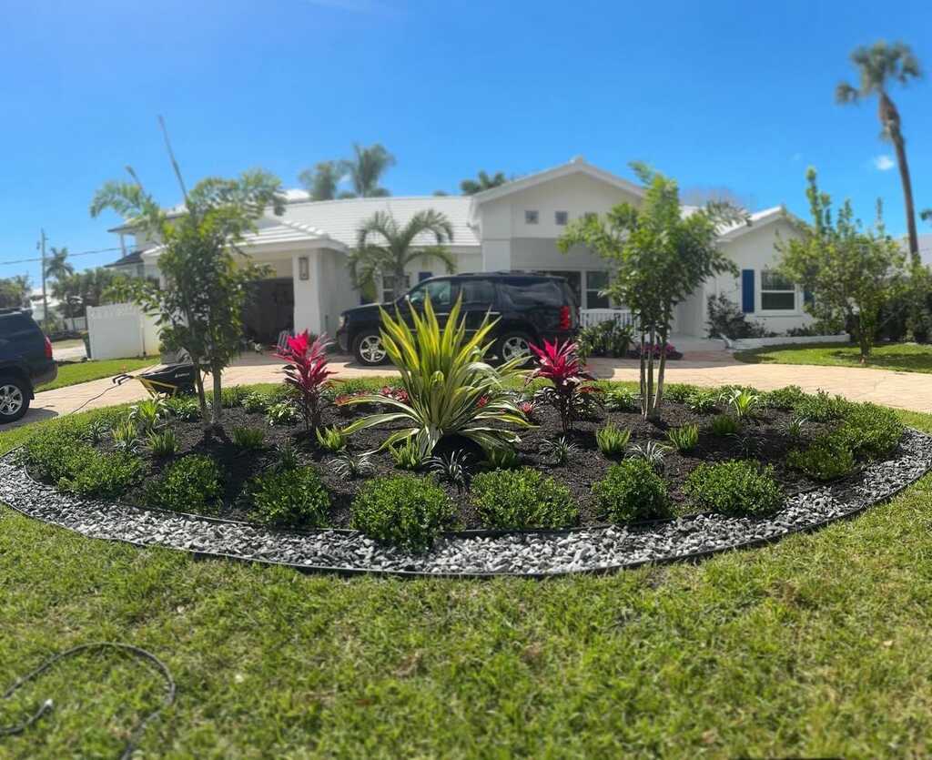 Palm and landscape enhancement