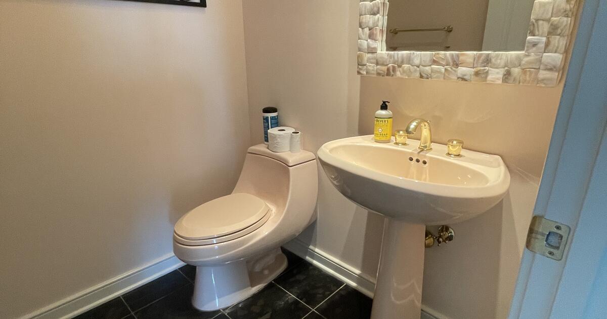 Kohler Innocent Blush pedestal sink and toilet comboused for Free in