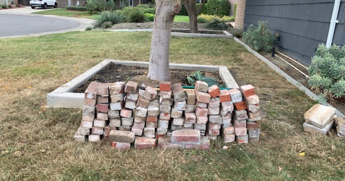 Free Recycled Bricks From 1958 House For Free In Sacramento, Ca 