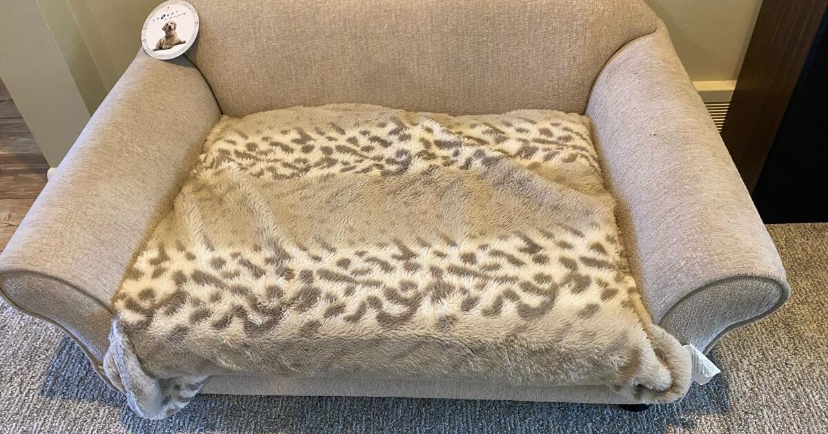 LazyBoy Dog sofa bed for 100 in Rochester, NY For Sale & Free — Nextdoor