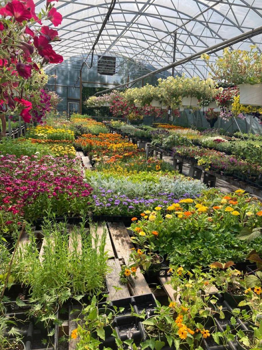 Filanowski Farms - Milford, CT - Nextdoor