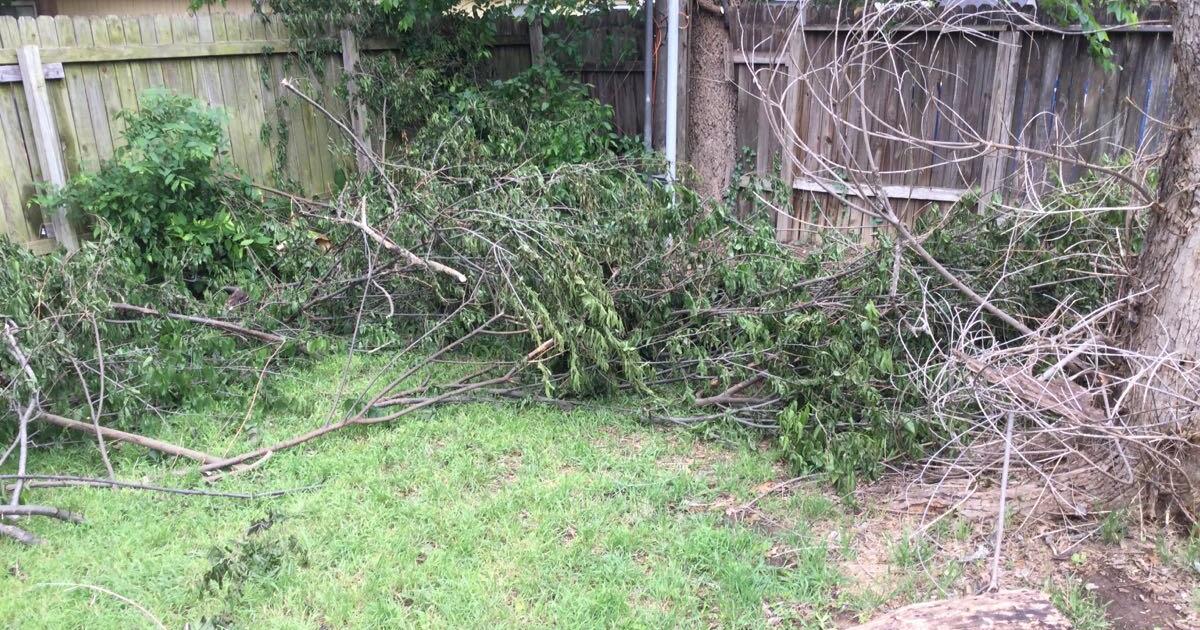 Free firewood 9434 Points Edge in New Territories for Free in San