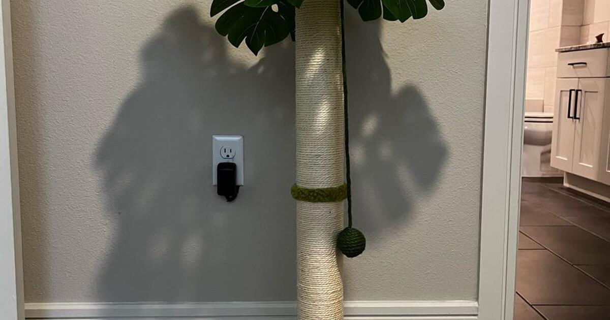 Meowoou Katzenbrücke Wandleiter – Zur Wandmontage, Für Kletter- Und Spielspaß Deiner Katze