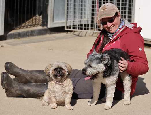 Greenacres Farm Boarding Kennels and Cattery. Huntingdon GB ENG