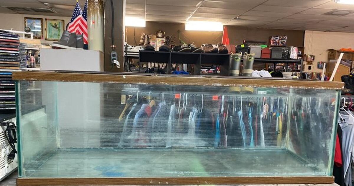 Large Fish Tank Aquarium for 95 in San Antonio, TX For Sale & Free — Nextdoor