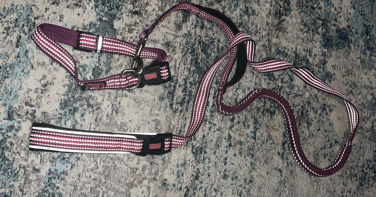 XL Kong dog collar and leash for 15 in Manchaca, TX For Sale & Free