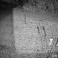 /data/user/0/com.nextdoor/cache/17431178129637477314305837573912.mp4