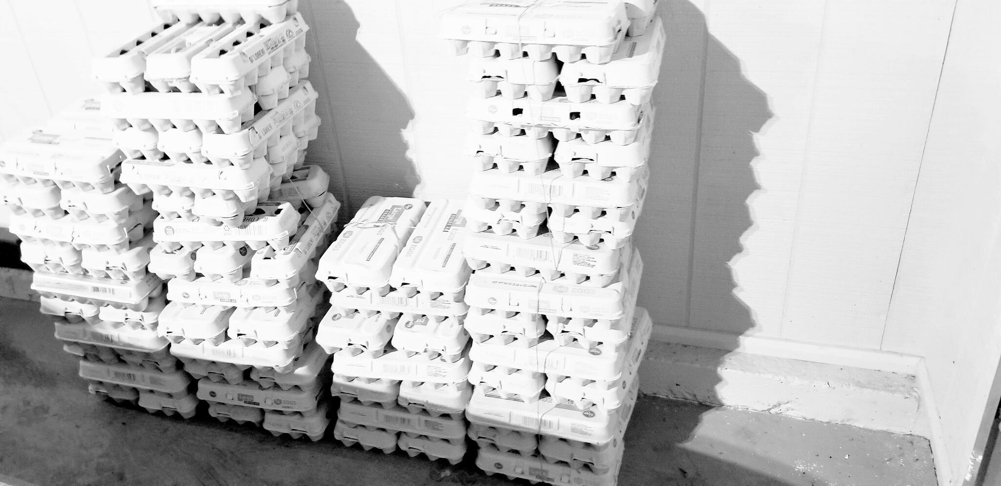 Free Egg cartons about 60 70 for Free in Topeka, KS For Sale