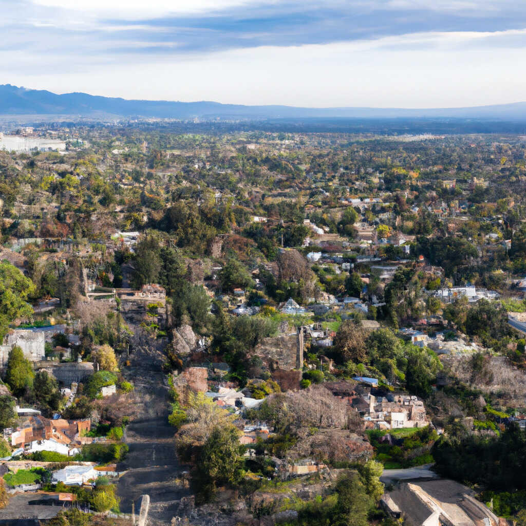 Newport Apartments, Campbell News, Crime, Lost Pets, Free Stuff