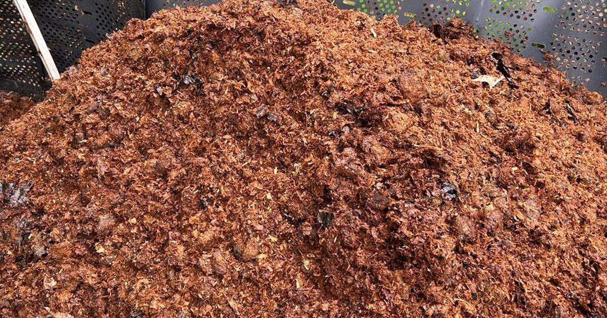 Harvard Wi Horse Transportation Services Harvard Wi Horse Transportation Services